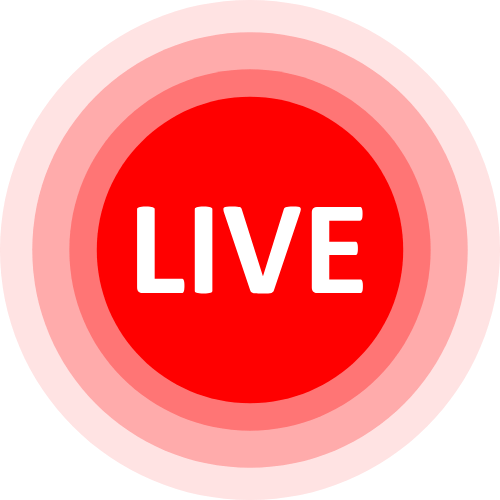 Online Porn Cams